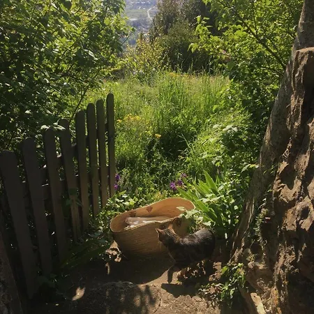 Nyaraló Maison Ardechoise Avec Panorama Sampzon